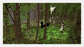 Click to enlarge